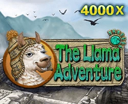 JDB : Llama Adventure - MEGABET808