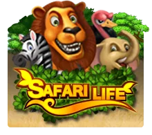 Joker123 : Safari Life - MEGABET808