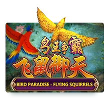 Bird Paradise - MEGABET808