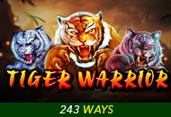 Spadegaming : Tiger Warrior - MEGABET808