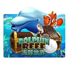 Joker123 : Dolphin Reef - MEGABET808